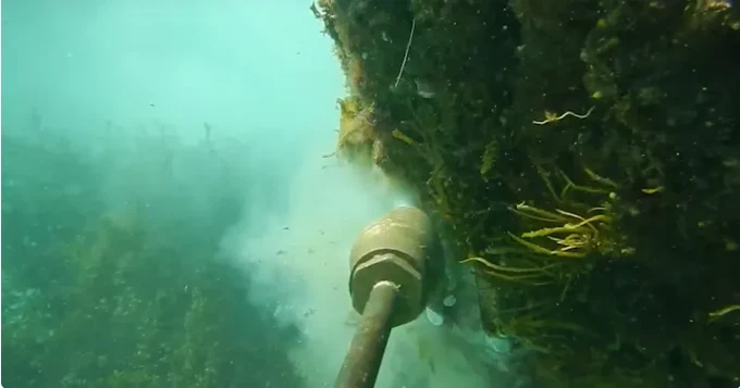 barnacles removal5 barnacles removal5